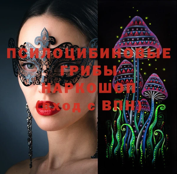 бошки Алексин