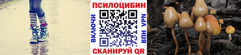 Галлюциногенные грибы MAGIC MUSHROOMS  Кудрово 