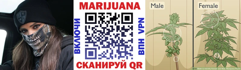 Конопля Bruce Banner  hydra как зайти  Кудрово 